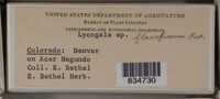 Image Associated With the Occurence
